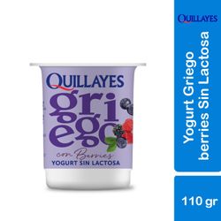 Yogurt Griego Quillayes Sin Lactosa con Trozos de Berries Pote 110 g
