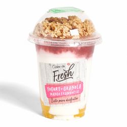 Yogurt + Granola Mango Frambuesa 1 un.