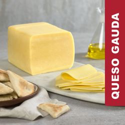 Queso Gauda Colun Laminado Granel