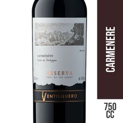 Vino Ventisquero Alma de Los Andes Reserva Carmenere 750 cc