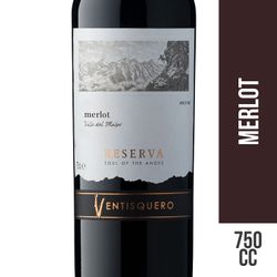 Vino Ventisquero Alma de Los Andes Reserva Merlot 750 cc