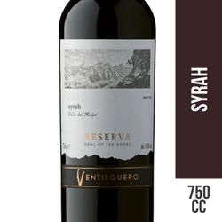 Vino Ventisquero Alma de Los Andes Reserva Syrah 750 cc