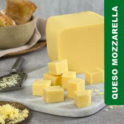 Queso Mozzarella Santa Rosa Trozo Granel