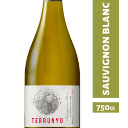Vino Terrunyo Sauvignon Blanc 750 cc
