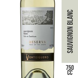 Vino Ventisquero Alma de Los Andes Reserva Sauvignon Blanc 750 cc