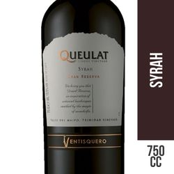 Vino Ventisquero Queulat Gran Reserva Syrah 750 cc