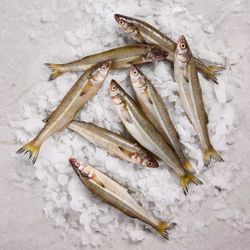 Pejerrey Entero Fresco Granel