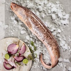 Congrio Dorado Entero Fresco Granel