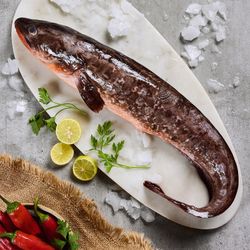 Congrio Colorado Entero Fresco Granel