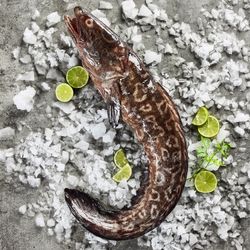 Congrio Negro Entero Fresco Granel