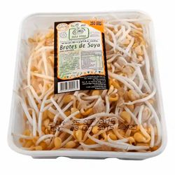 Brotes de Soya