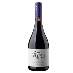 Vino Viu Manent Vibo del Viento Ensamblaje 750 cc