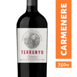 Vino Terrunyo Carmenere 750 cc