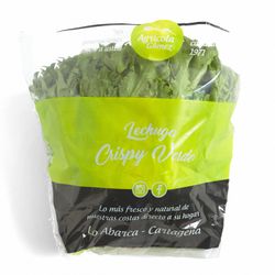 Lechuga Hidropónica Crispy Verde un.
