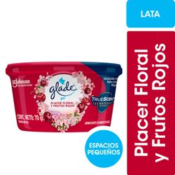 Desodorante Ambiental Glade Mini Gel Hogar Placer Floral y Frutos Rojos 70 g