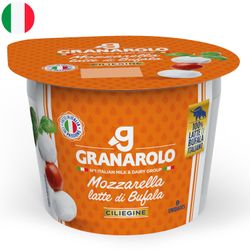 Queso Mozzarella Granarolo Envasado Pote 125 g
