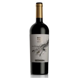 Vino Clos de Luz Carmenere 750 cc