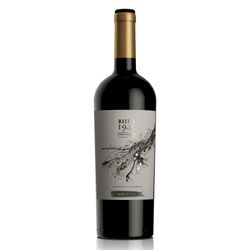 Vino Clos de Luz Cabernet Sauvignon 750 cc
