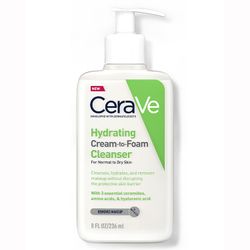 Limpiador Clean To Foam 236 ml