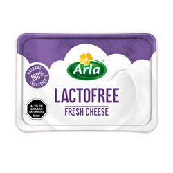 Queso Crema Sin Lactosa Arla Envasado Pote 200 g