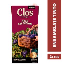 Vino Clos de Pirque Ensamblaje Tinto Caja 2 L
