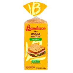 Pan Molde Bauducco Integral 390 g