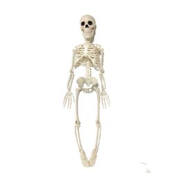 Esqueleto 76 cm Halloween