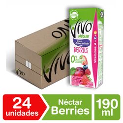 Caja 24 un. Néctar Vivo Berries 190 ml