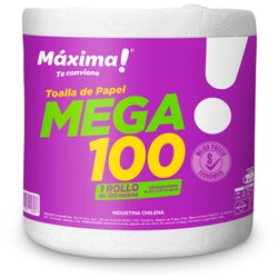 Toalla de Papel Máxima Doble Hoja 100 m