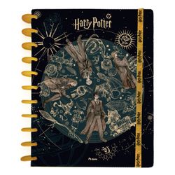 Cuaderno Book Reciclado Discos Harry Potter 7 mm 100 Hojas Torre