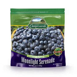 Fruta Congelada Arándano Moon Campoverde 340 g