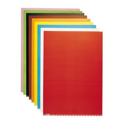 Cartulina Negra 1 pliego