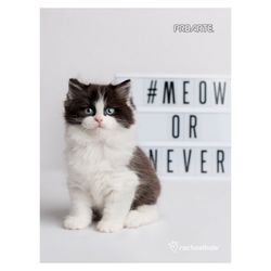 Cuaderno Universitario Animales Adorables 150 Hojas 7 mm (surtido)