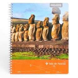 Cuaderno Universitario Tapa Dura 100 Hojas 7 mm (surtido)