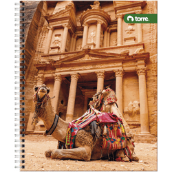 Cuaderno Universitario Clásico Liso 100 Hojas (surtido)