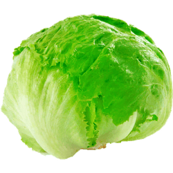 Lechuga Escarola 1 un.