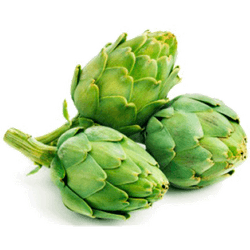 Alcachofa Americana 1 un.