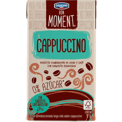Leche Danone Moments Cappuccino 1 L
