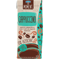 Leche Danone Moments Cappuccino 200 ml