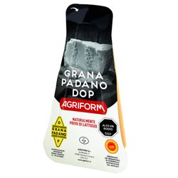 Queso Grana Padano Globe Italia Envasado Trozo 200 g