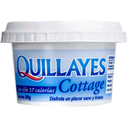 Queso Cottage Quillayes Envasado 200 g