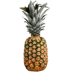 Piña Calibre 6 - 1 un