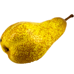 Pera Abate Fetel Granel