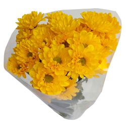 Mable amarillo ramo 7 un.