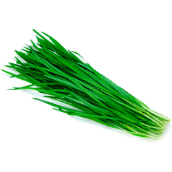 Ciboulette Oriental 50 g