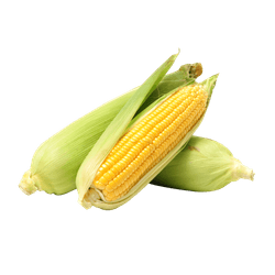 Choclo Pastelero 1 un.