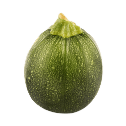 Zapallo Redondo 1 un.