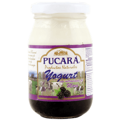Yogurt Pucará con Mermelada de Mora 230 g
