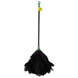 Plumero Mi Casa Común Avestruz