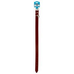 Collar para Perro Cuero Natural Pet's Fun con Placa Identificadora 2.5 cm